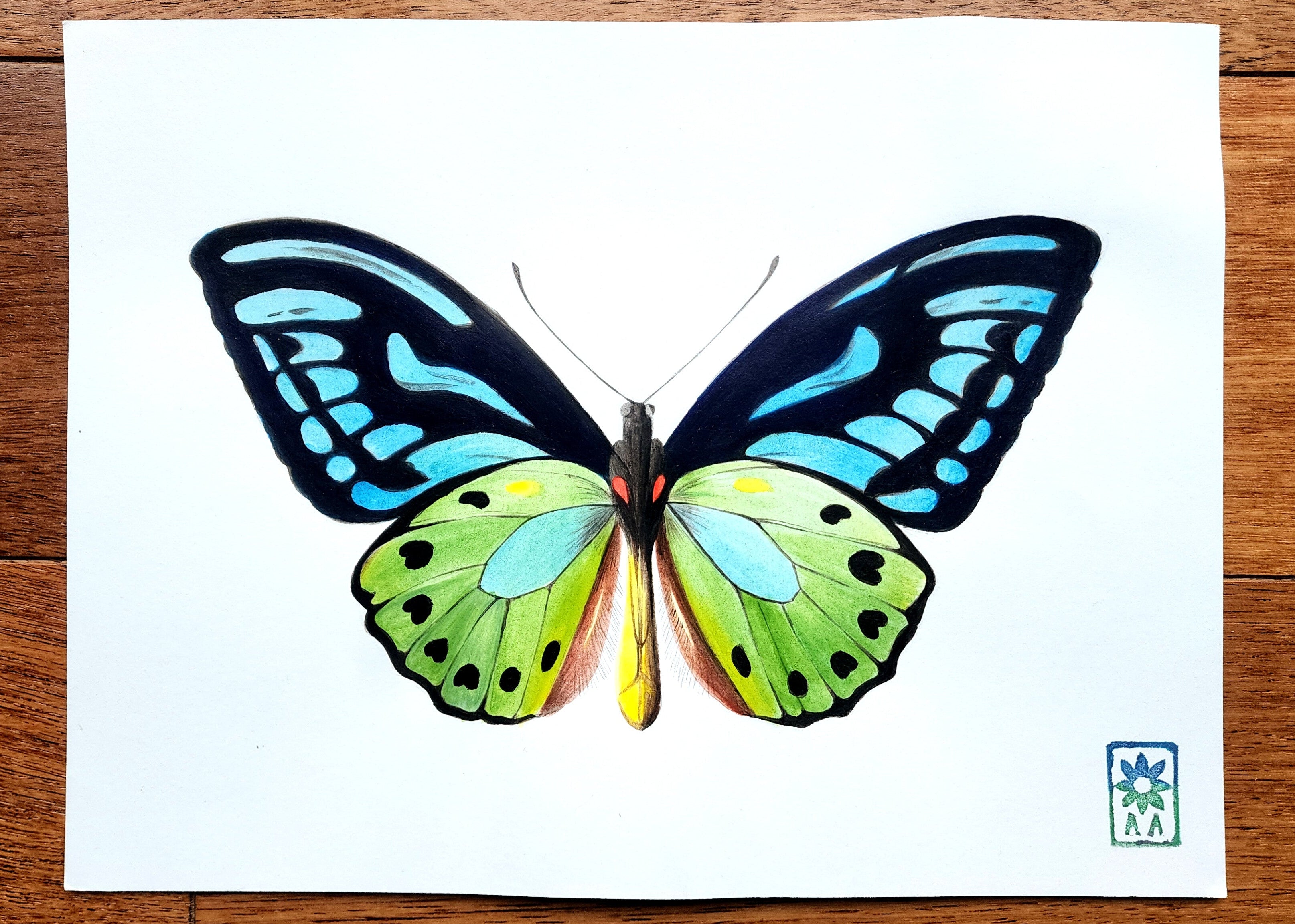 Papillon vert et bleu, 24x32cm, acrylique