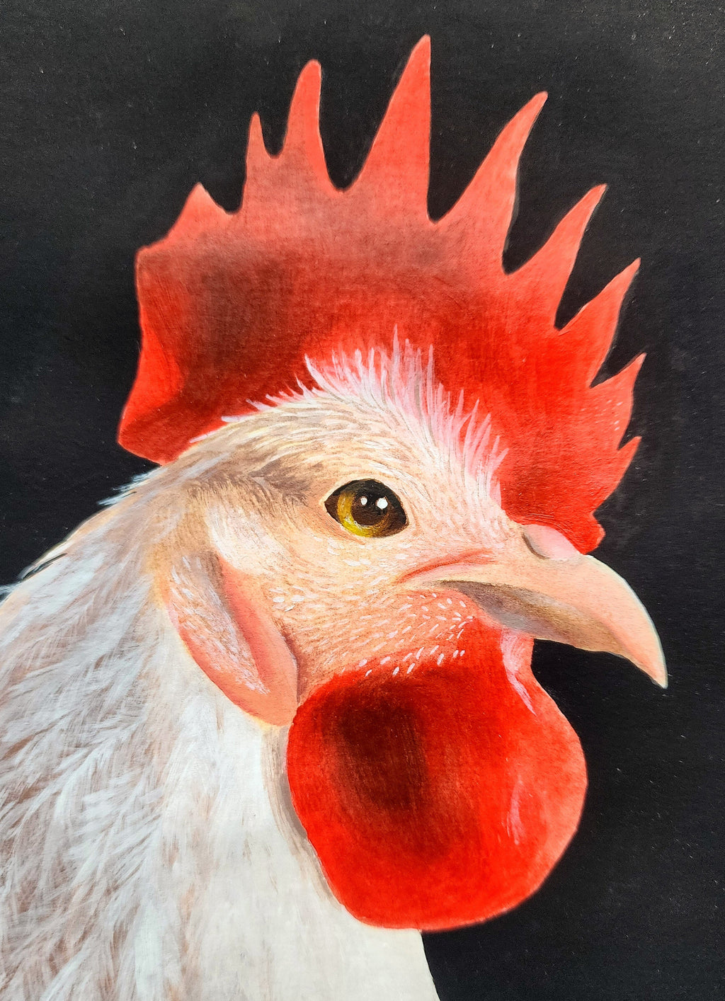 Coq, peinture acrylique 24x32cm