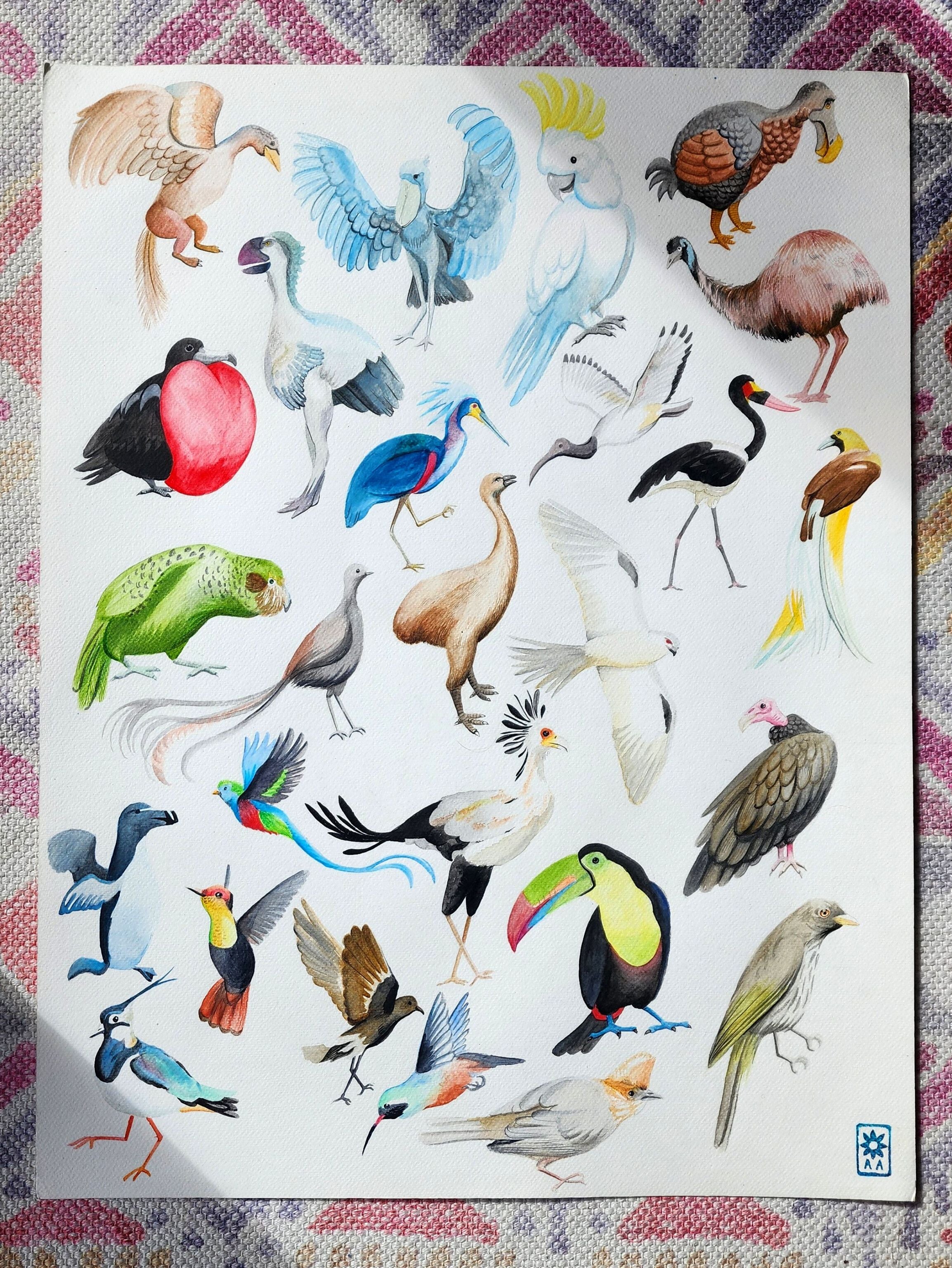 Abécédaire des oiseaux