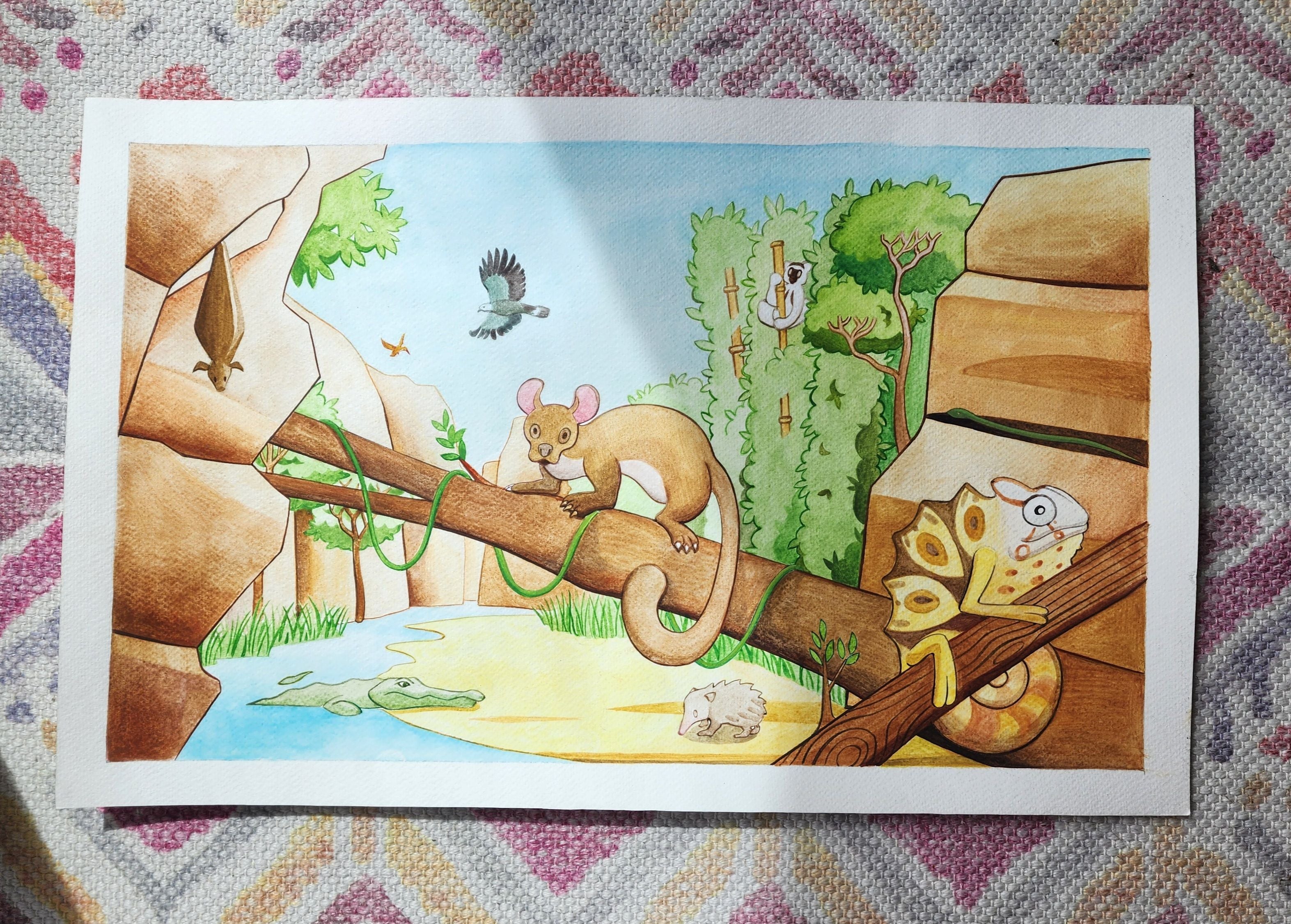 Les animaux du Makay