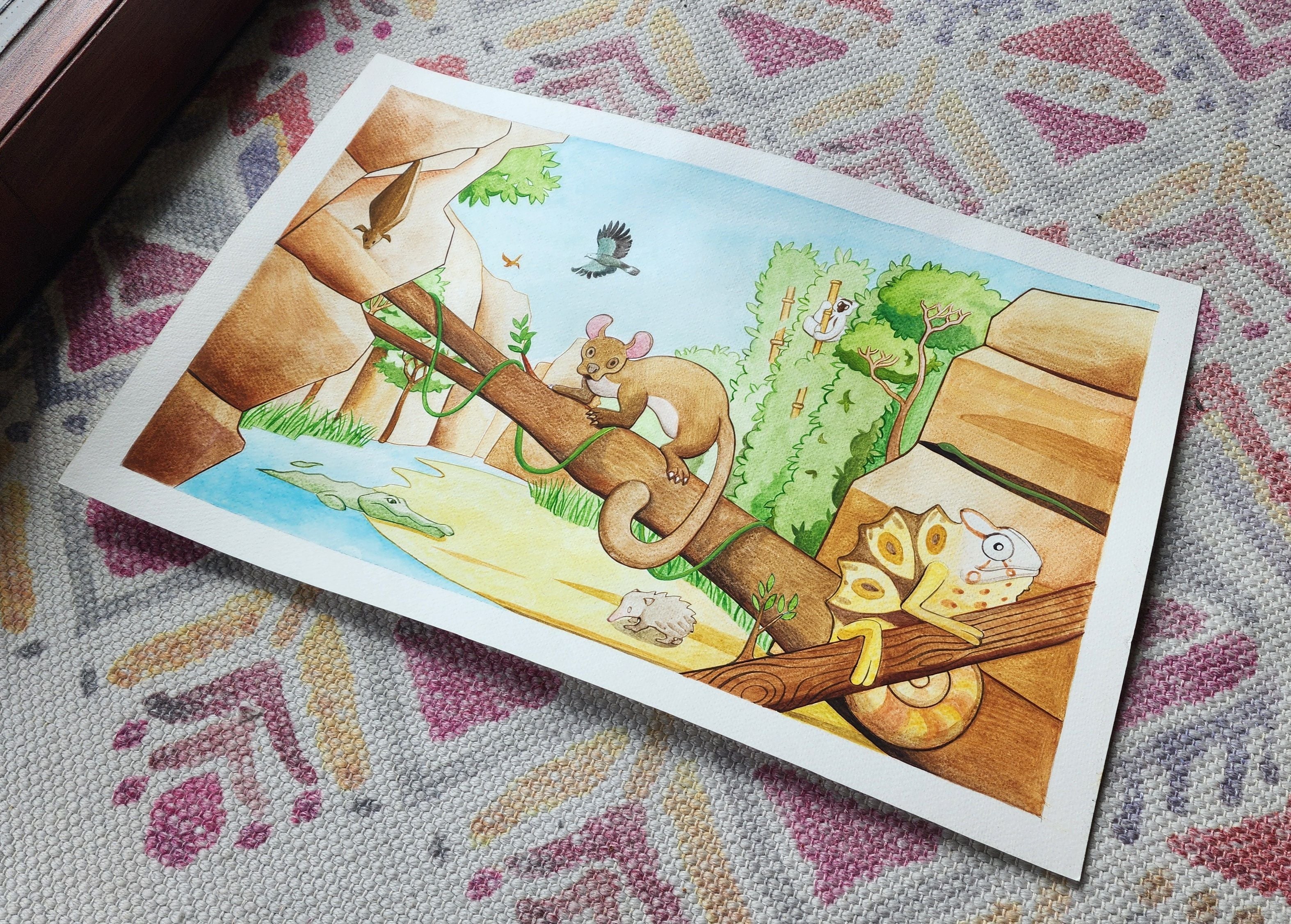 Les animaux du Makay